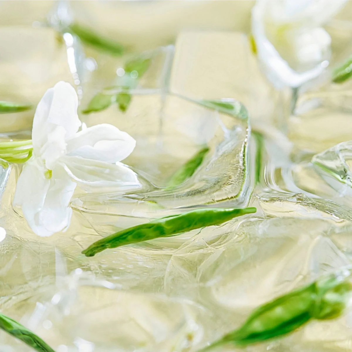 Elevate Your 2025 Vape Style